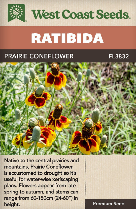 Ratibida - Coneflower Prairie  - West Coast Seeds
