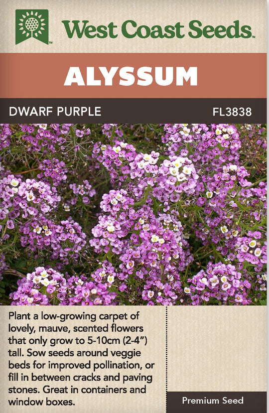 Alyssum Dwarf Purple - West Coast Seeds