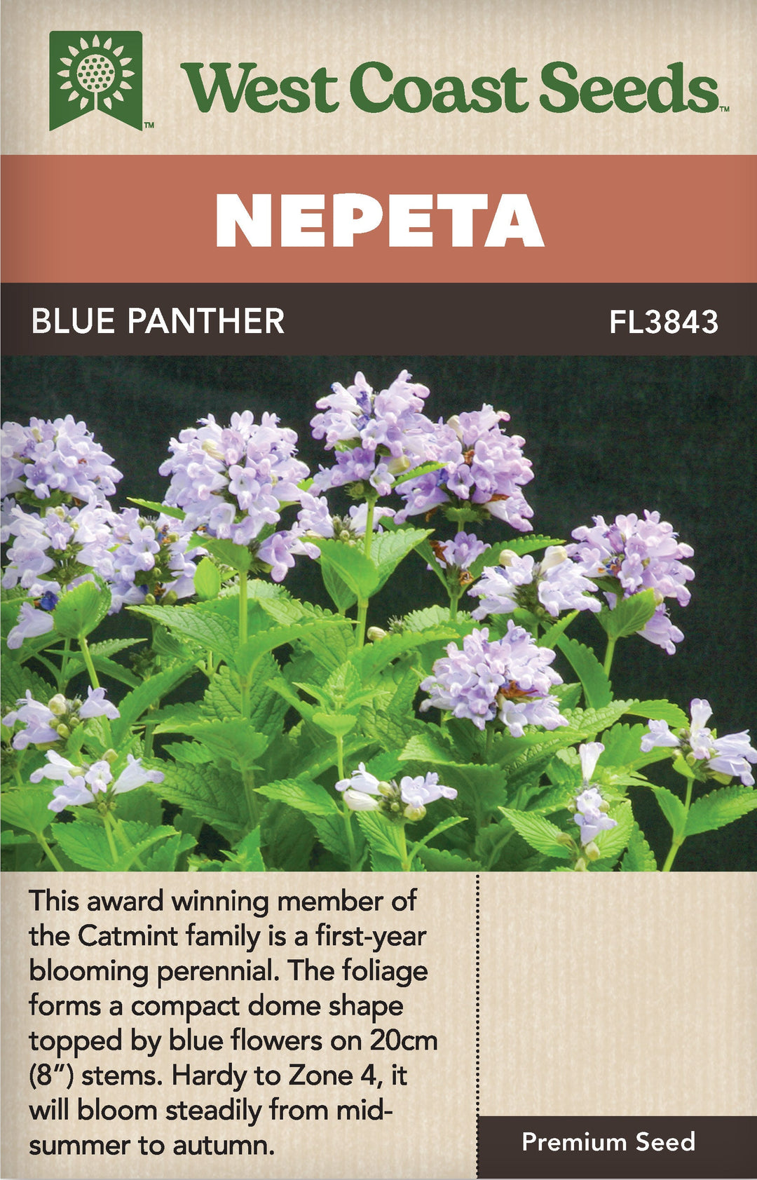 Nepeta Blue Panther - West Coast Seeds