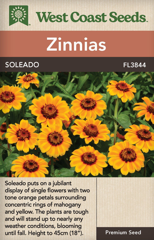 Zinnias Soleado - West Coast Seeds Ltd