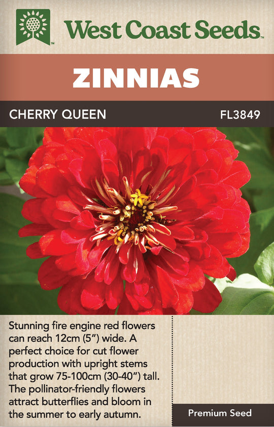 Zinnia Cherry Queen - West Coast Seeds