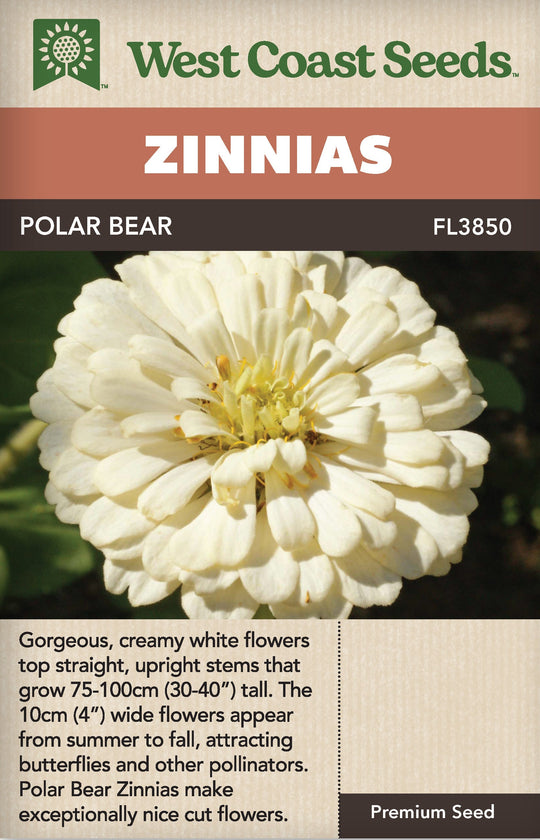 Zinnia Polar Bear - West Coast Seeds
