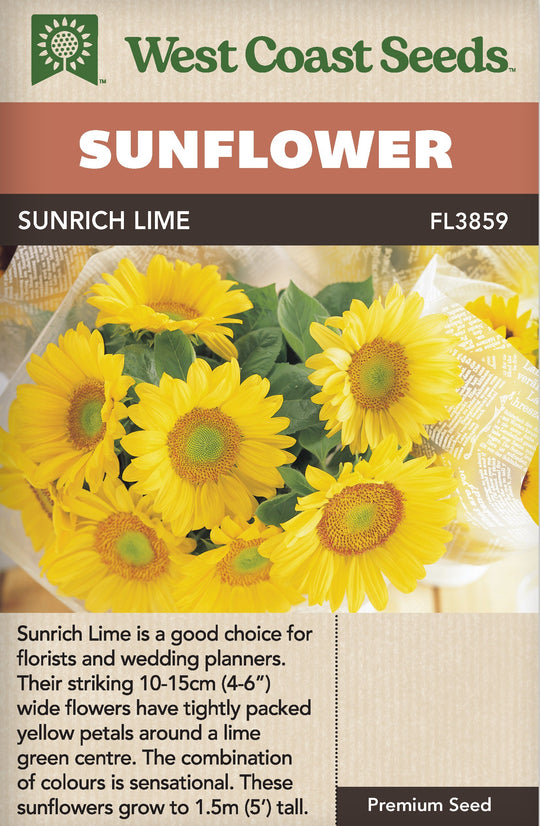 Sunflower Sunrich Lime - West Coast Seeds