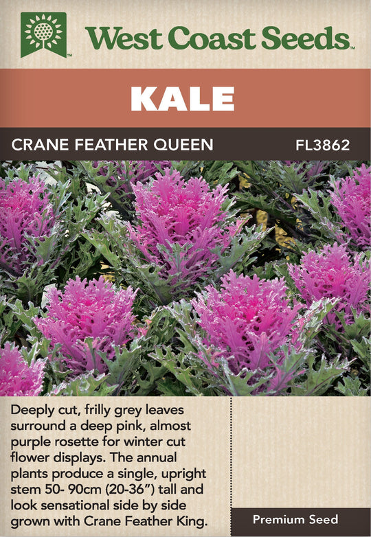 Kale Crane Feather Queen - West Coast Seeds