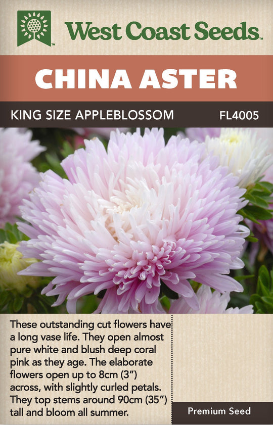 China Aster King Size Appleblossom - West Coast Seeds