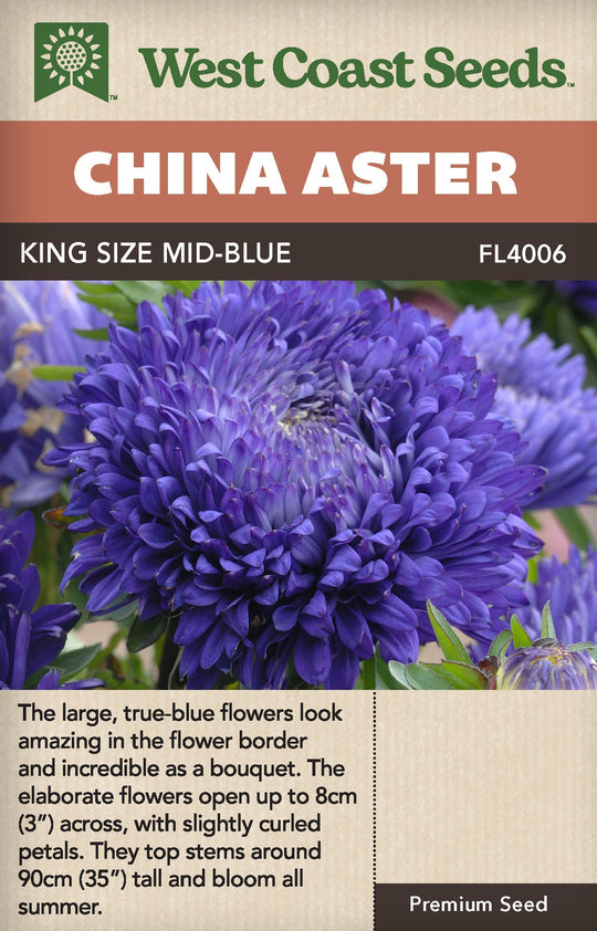 China Aster King Size Mid-Blue - West Coast Seeds