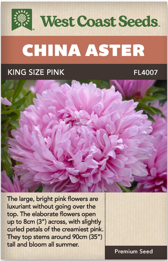 China Aster King Size Pink - West Coast Seeds