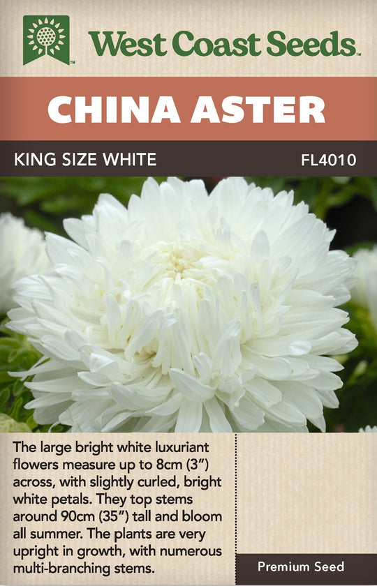 China Aster King Size White - West Coast Seeds