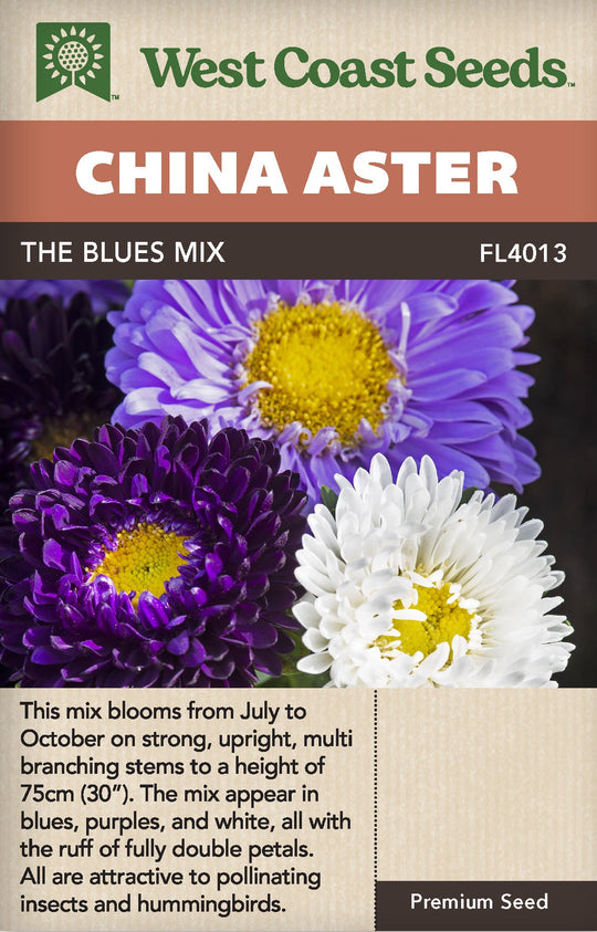 China Aster The Blues Mix - West Coast Seeds