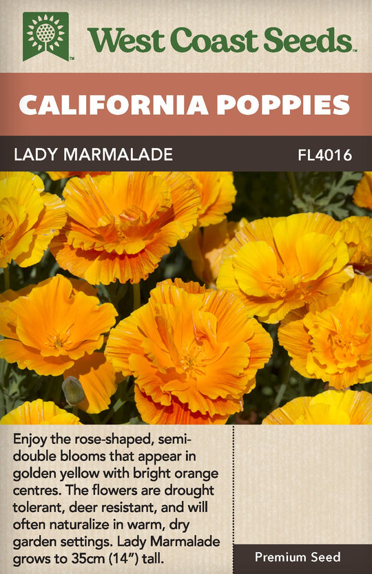 California Poppy Lady Marmalade - West Coast Seeds