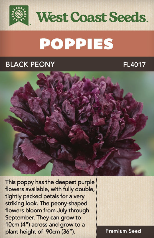 Poppy Black Peony - West Coast Seeds