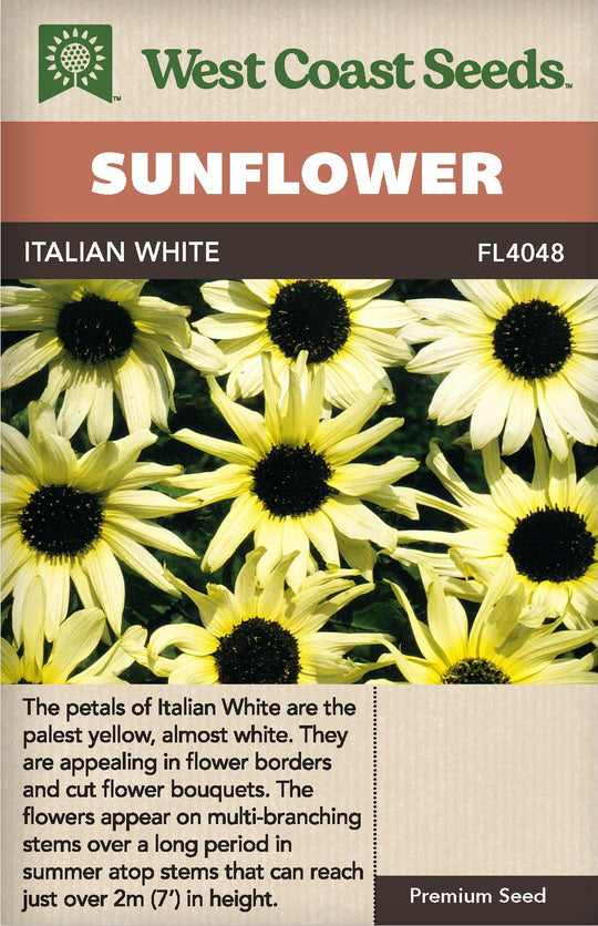 Sunflower Italian White - West Coast Seeds
