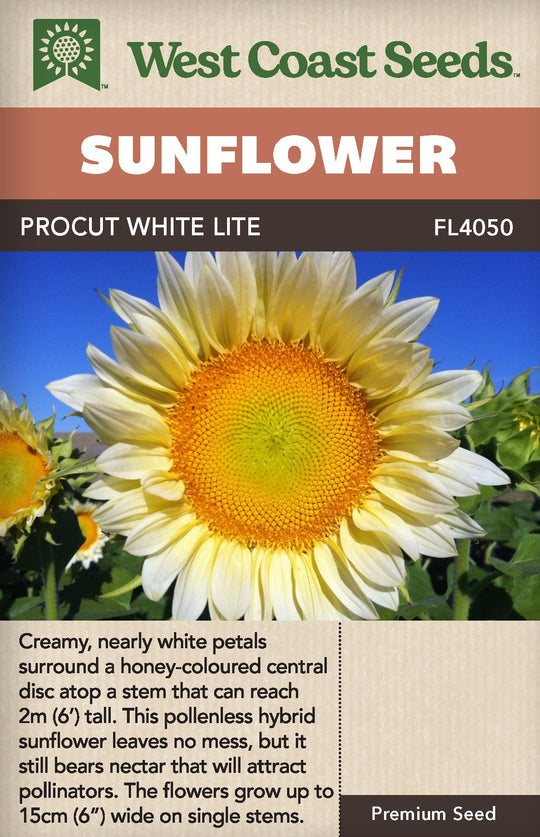 Sunflower ProCut White Lite - West Coast Seeds
