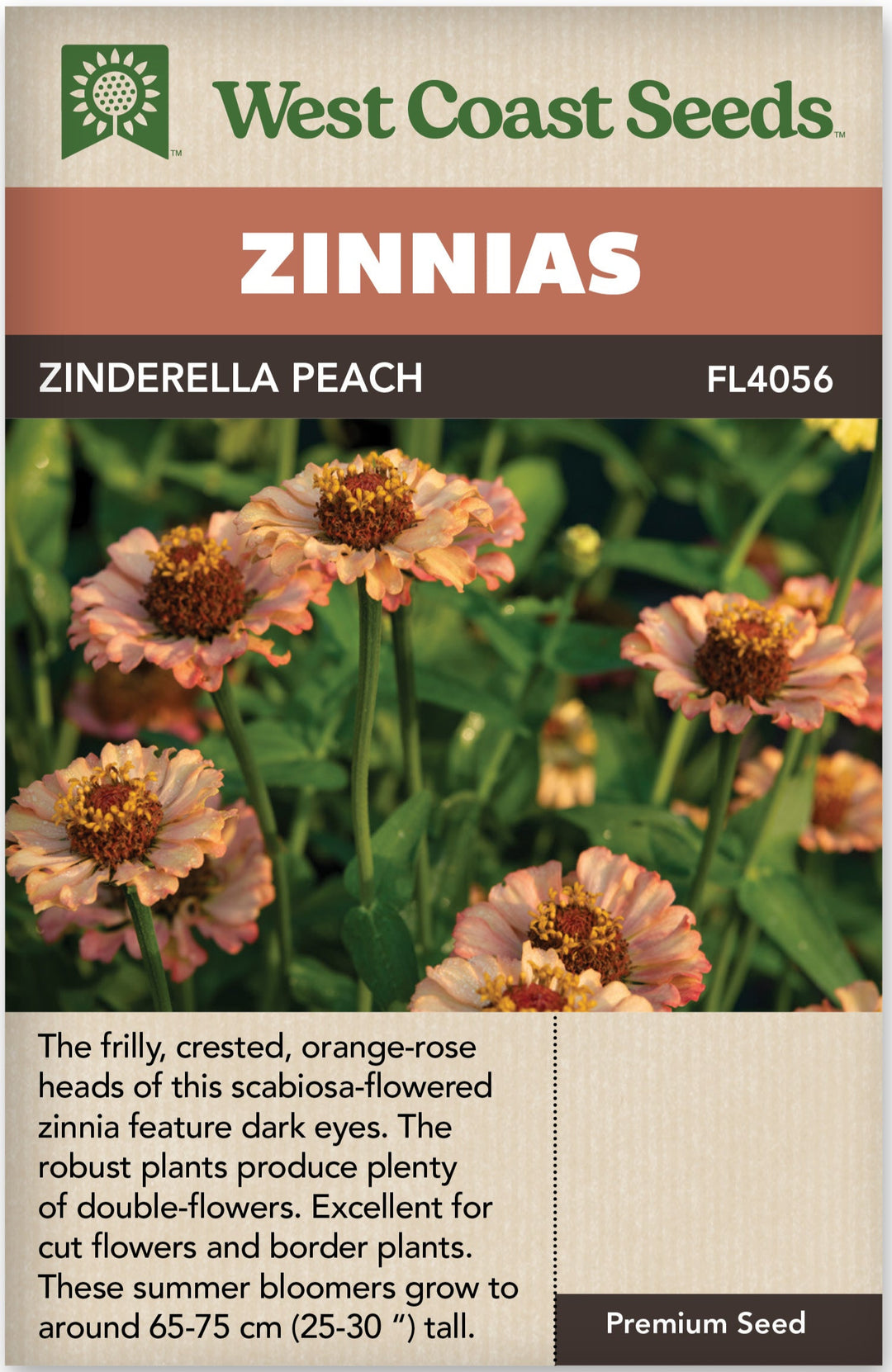 Zinnia Zinderella Peach - West Coast Seeds