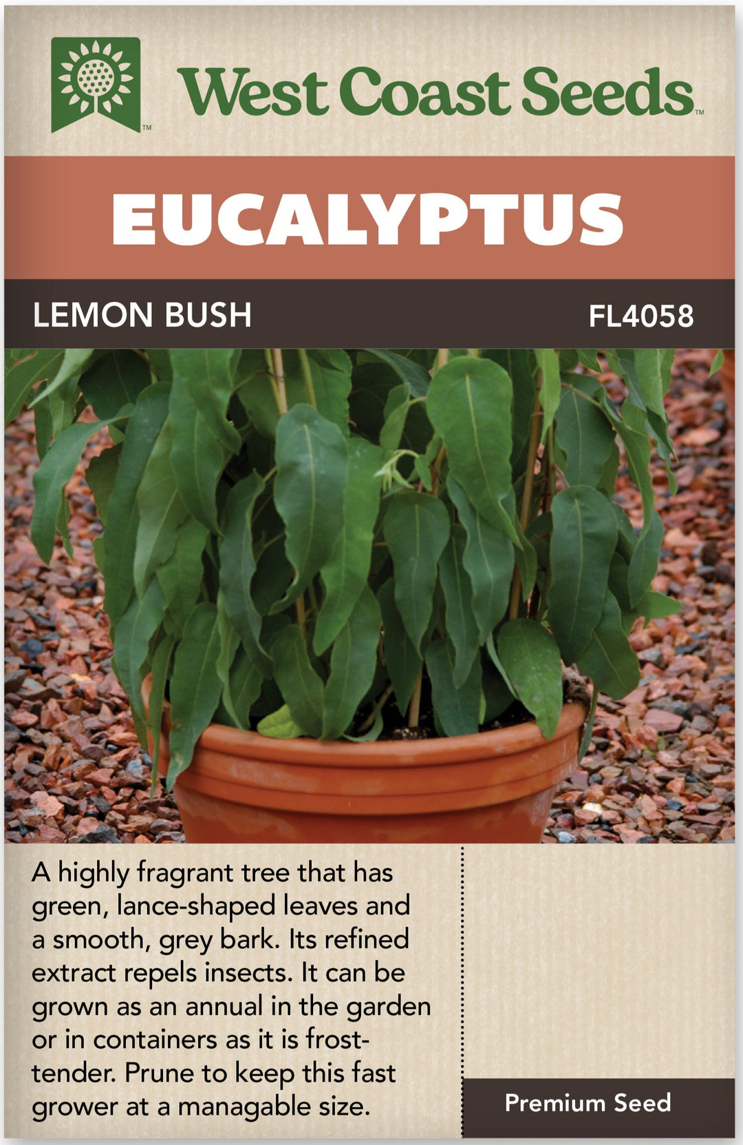 Eucalyptus Lemon Bush - West Coast Seeds