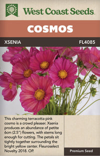 Cosmos Xsenia - West Coast Seeds