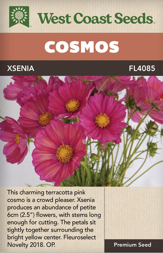 Cosmos Xsenia - West Coast Seeds