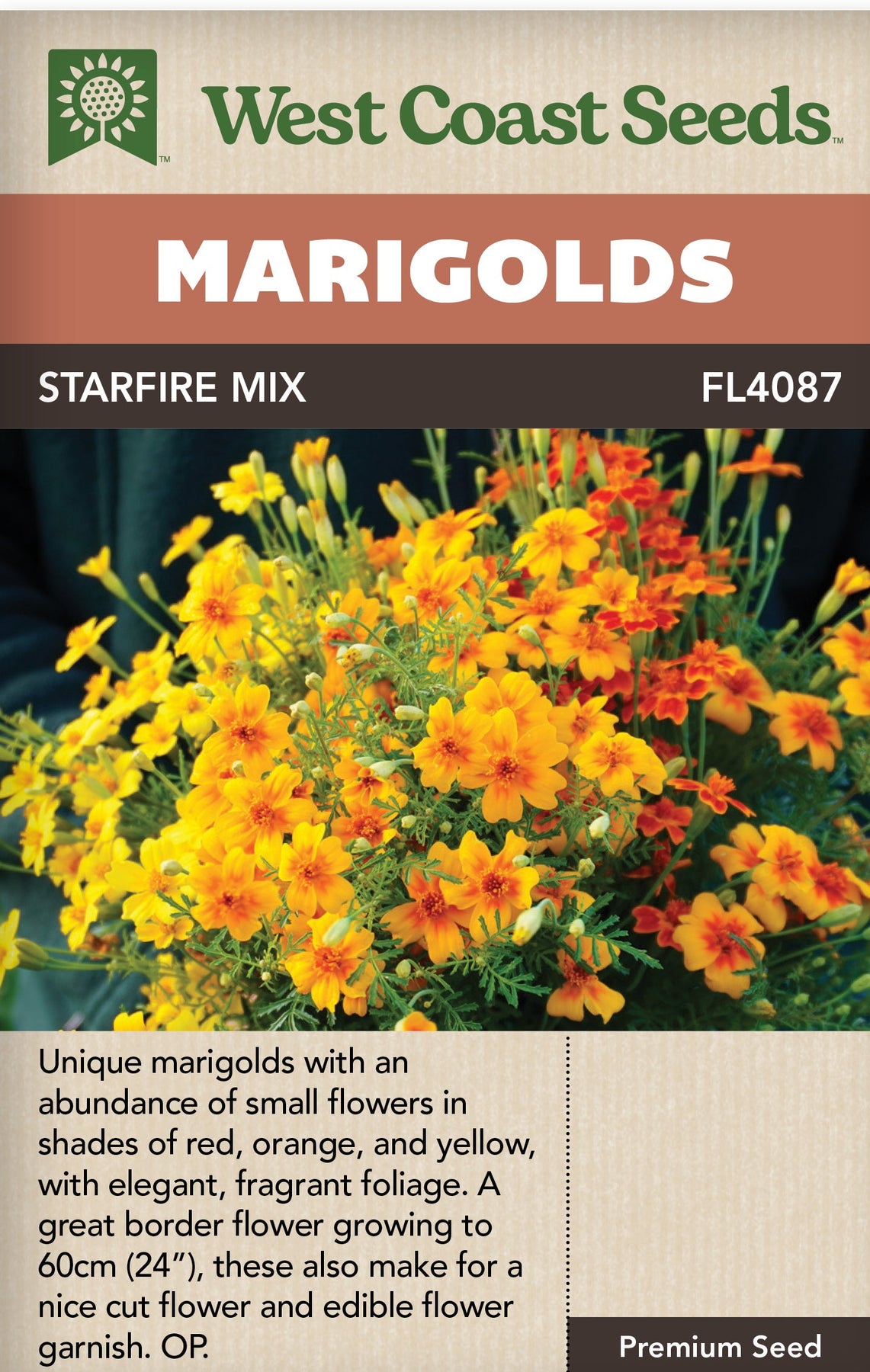 marigold starfire mix seeds Marigolds Starfire Mix