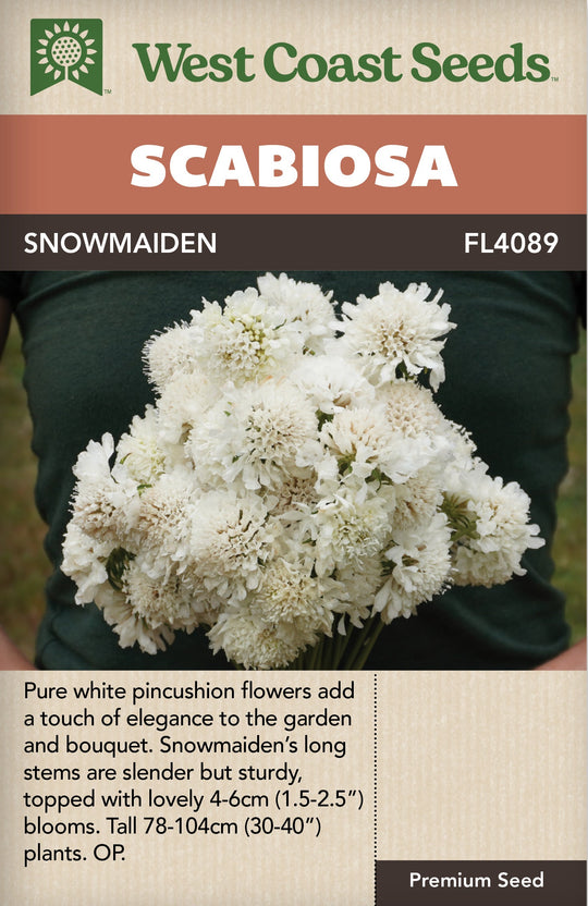 Scabiosa Snowmaiden - West Coast Seeds