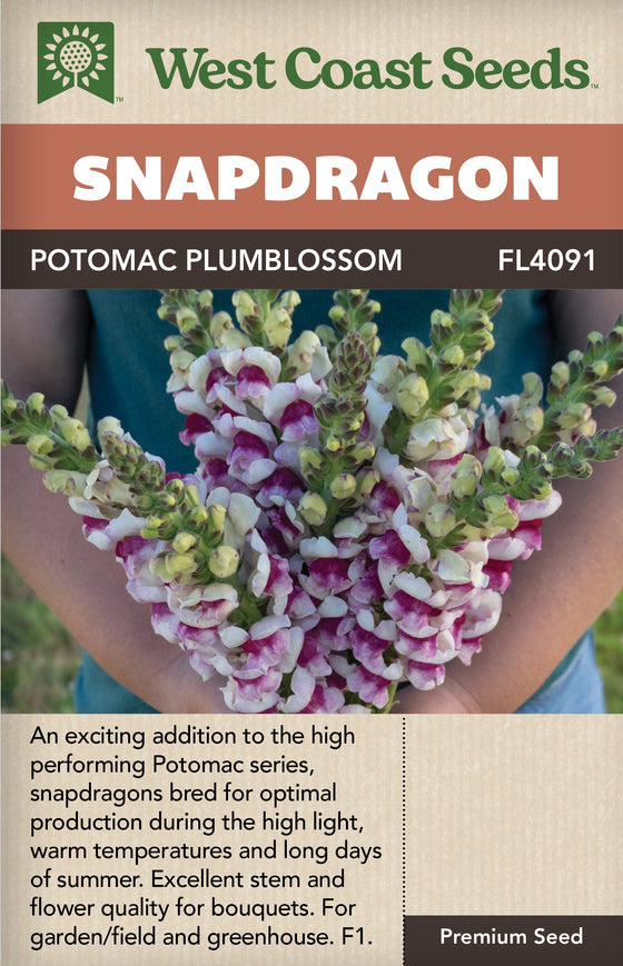 Snapdragon Potomac Plumblossom - West Coast Seeds