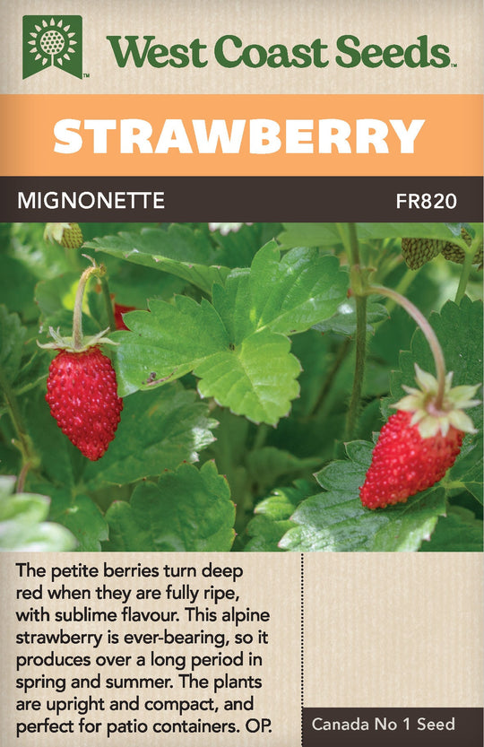 Strawberry Mignonette - West Coast Seeds
