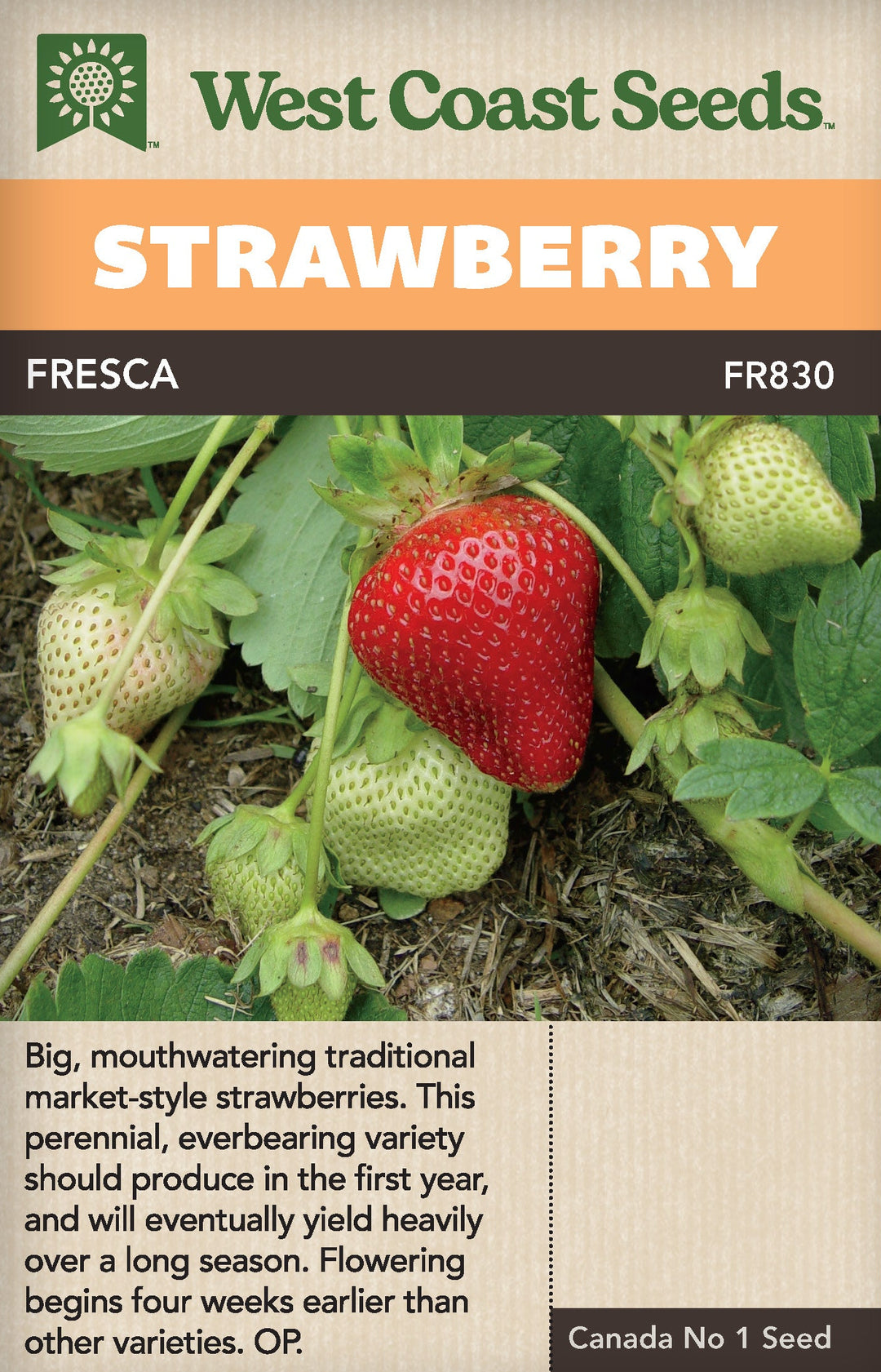 are strawberry seeds good for you Strawberry Fresca