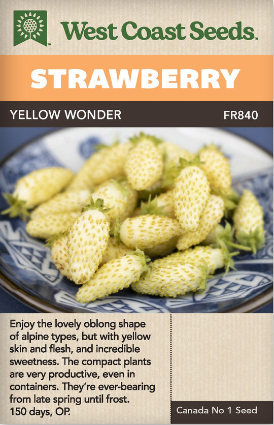 Strawberry Yellow Wonder - West Coast Seeds