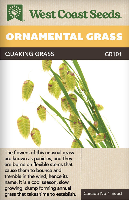 Ornamental Quaking Grass - West Coast Seeds