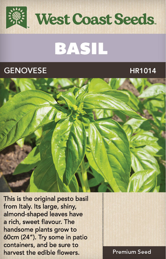Basil Genovese - West Coast Seeds