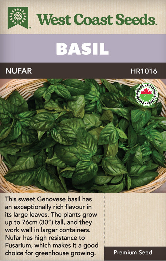 Organic Basil Nufar - West Coast Seeds
