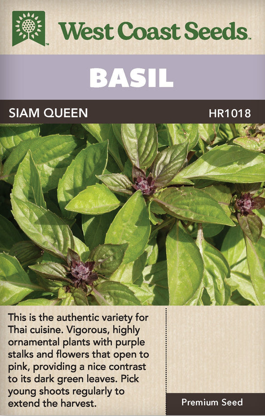 Basil Siam Queen - West Coast Seeds