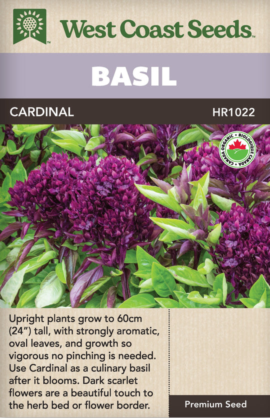 Organic Basil Cardinal - West Coast Seeds