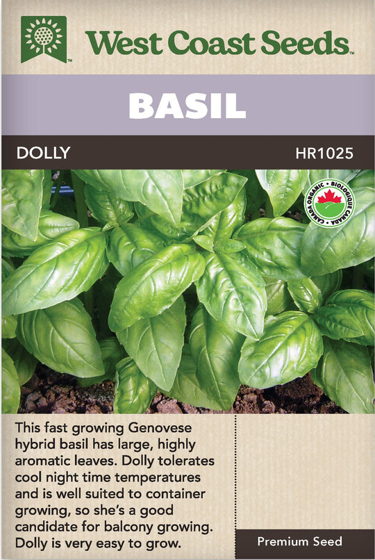 Organic Basil Dolly - West Coast Seeds