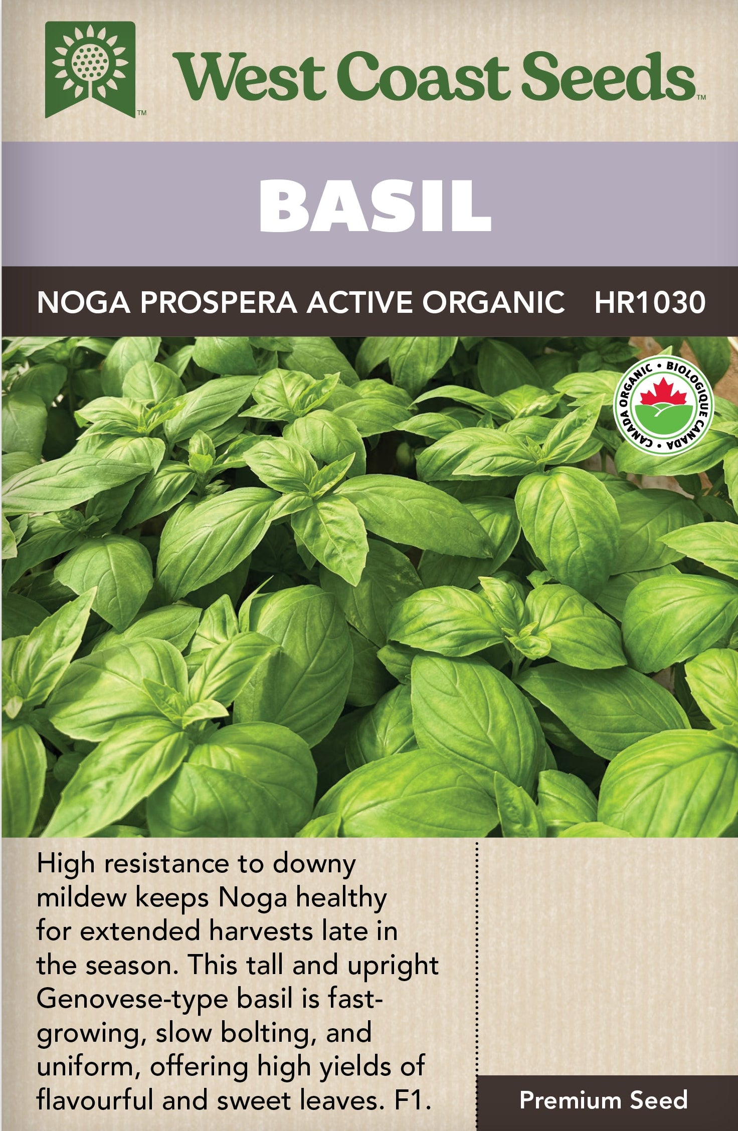 Organic Basil Noga Prospera Active - West Coast Seeds – Wildwood ...