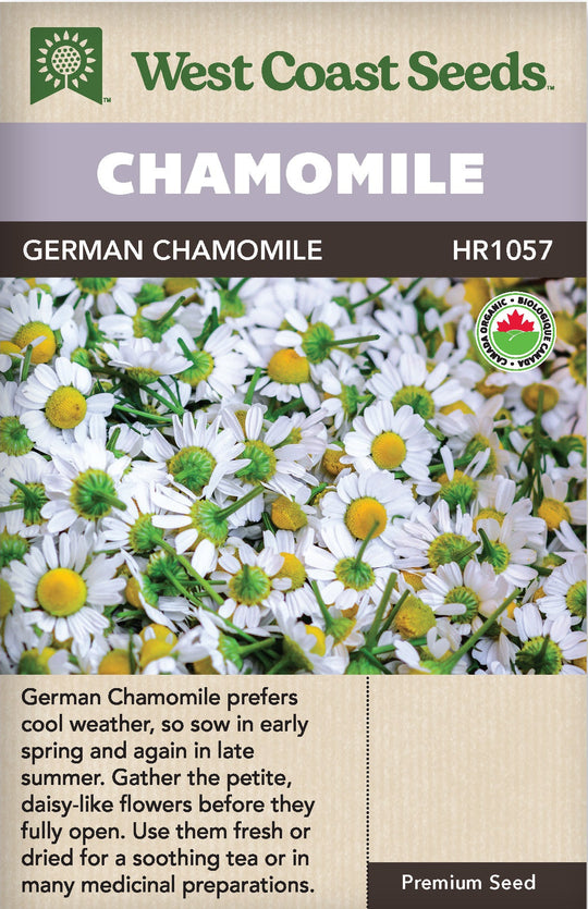 Organic Chamomile German - West Coast Seeds