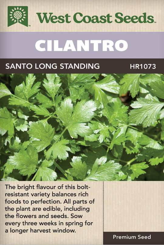 Cilantro Santo Long Standing - West Coast Seeds