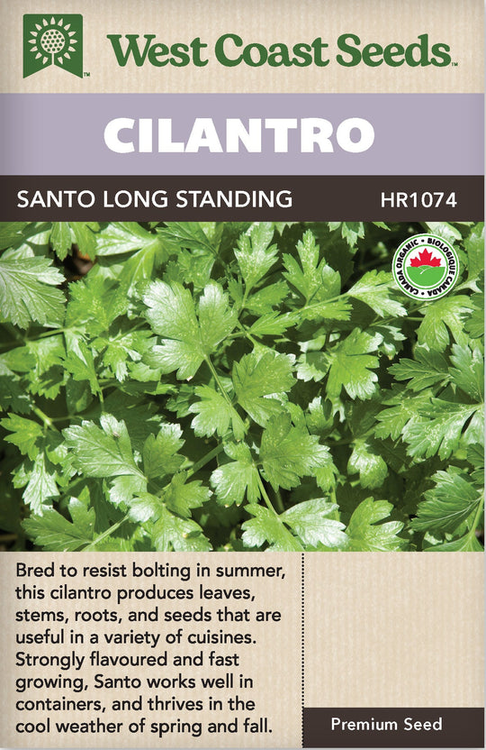 Organic Cilantro Santo - West Coast Seeds