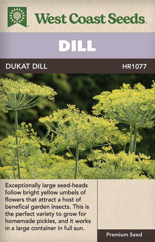 Dill Dukat - West Coast Seeds