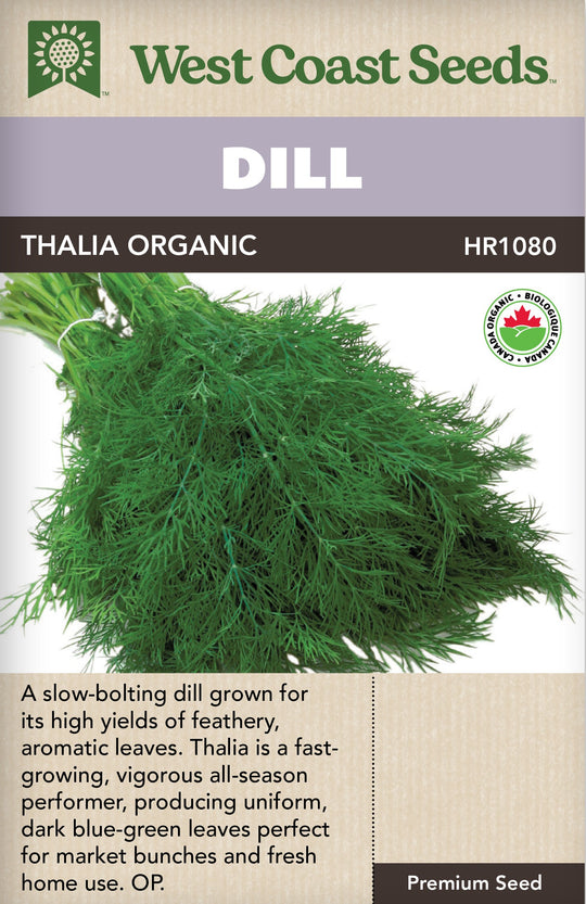 Organic Dill Thalia - West Coast Seeds