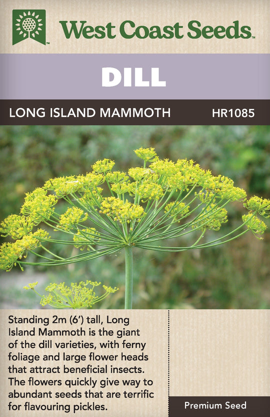 Dill Long Island Mammoth - West Coast Seeds