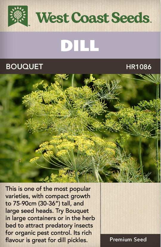 Dill Bouquet - West Coast Seeds