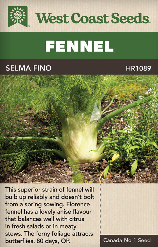 Fennel Selma Fino - West Coast Seeds