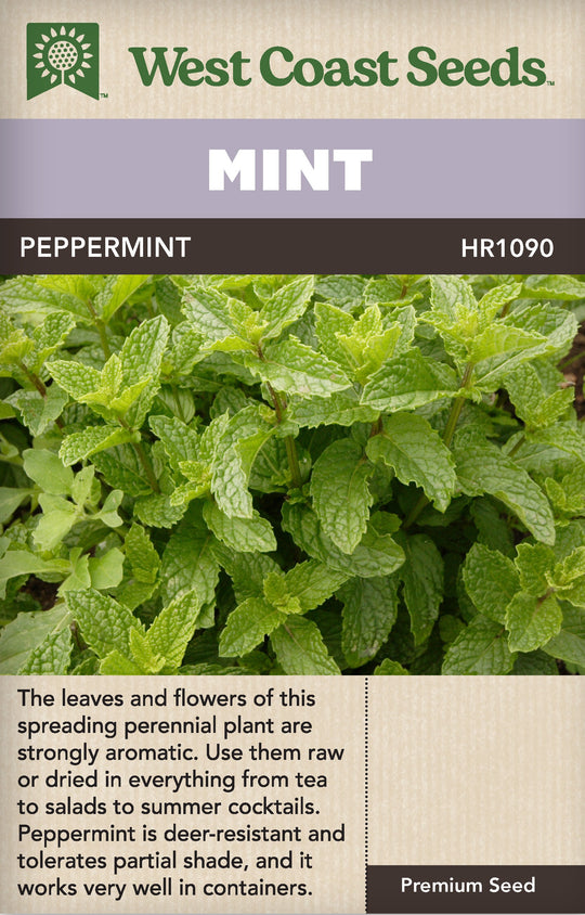 Mint Peppermint - West Coast Seeds