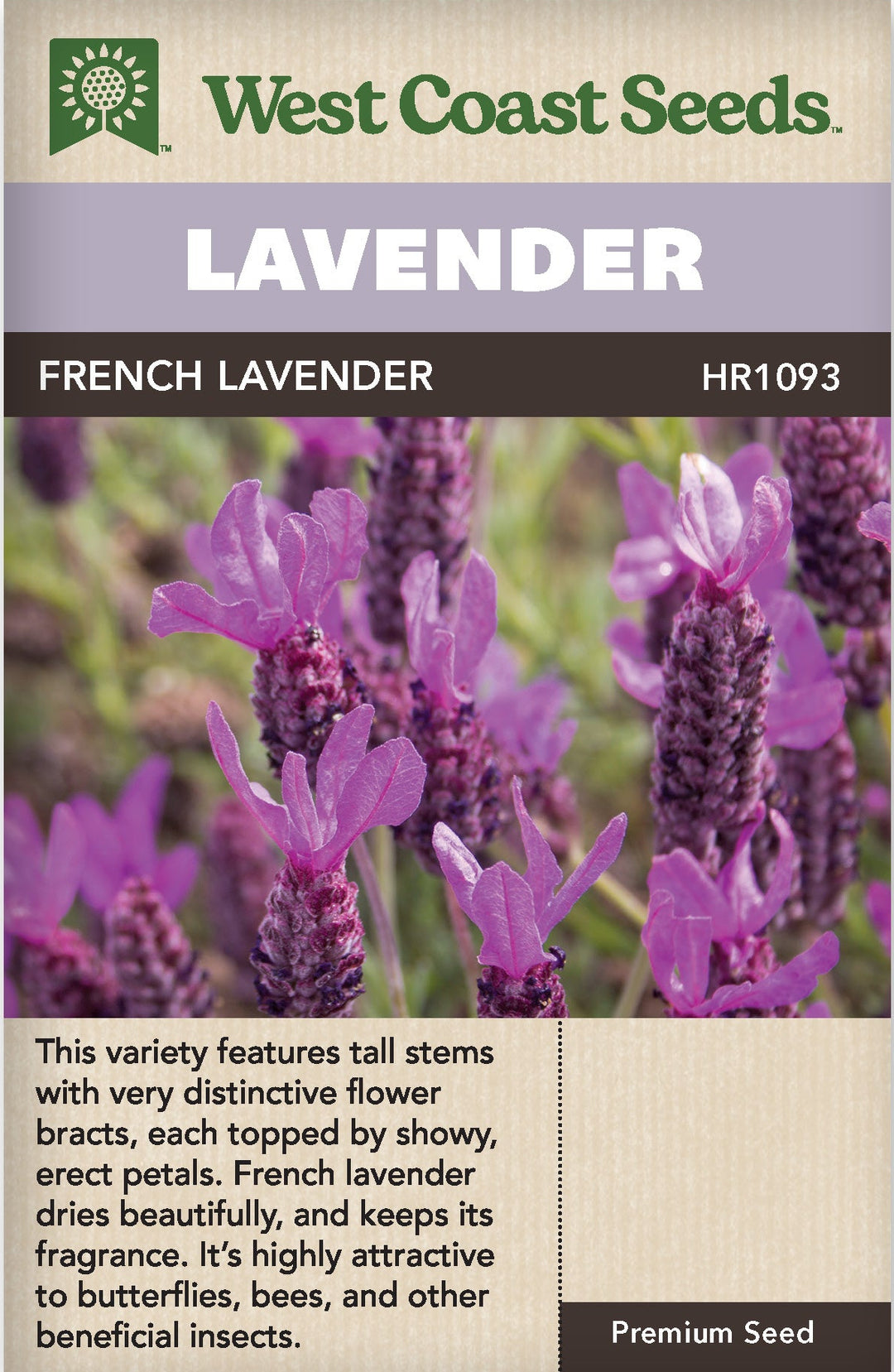 wild lavender seeds Lavender French