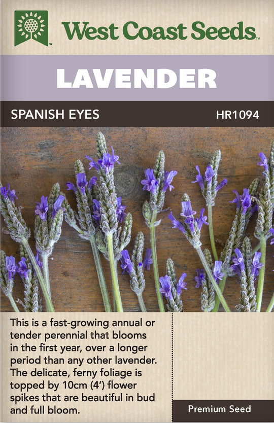 Lavender Spanish Eyes - West Coast Seeds
