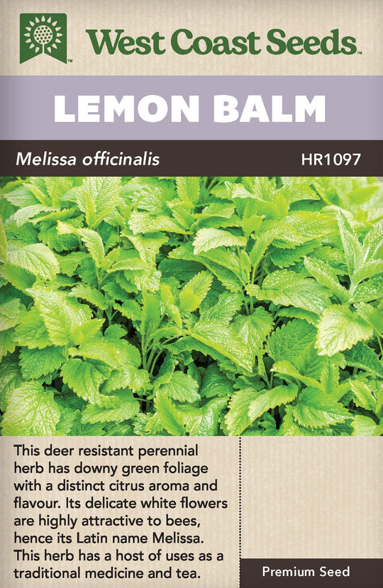 Lemon Balm - West Coast Seeds