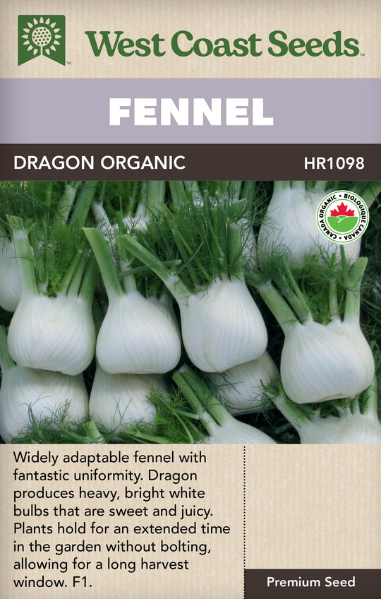 Organic Fennel Dragon - West Coast Seeds