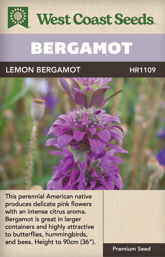 Bergamot Lemon - West Coast Seeds