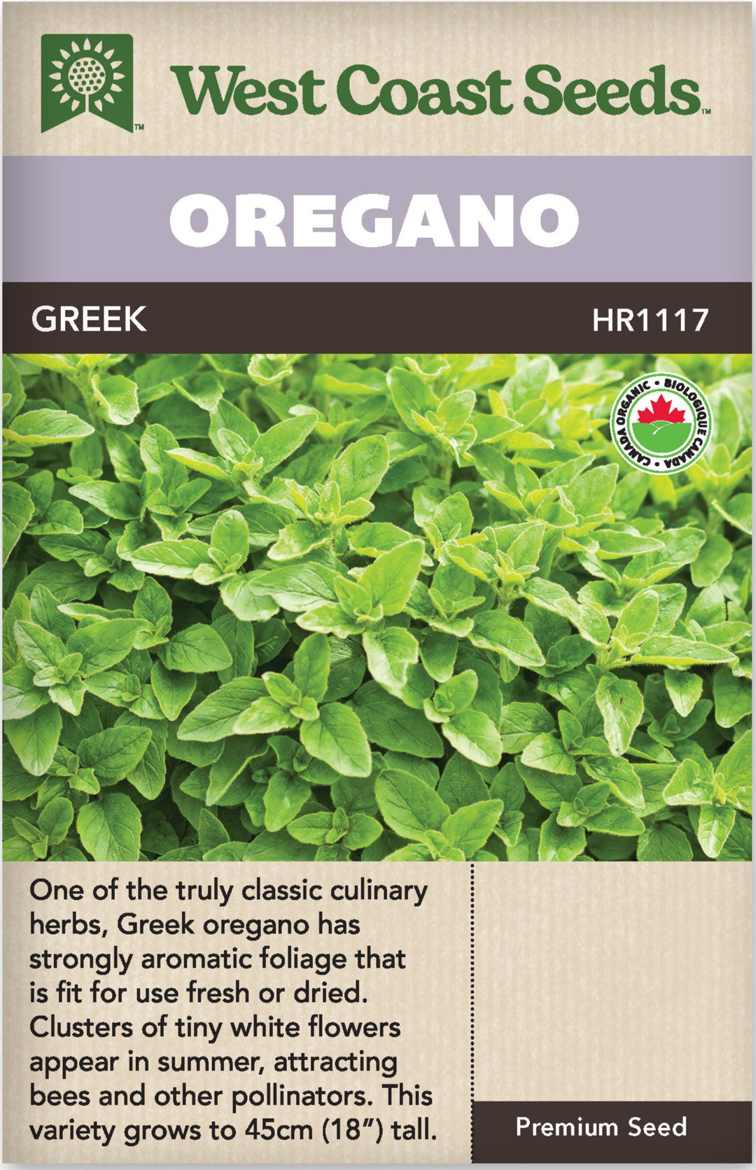 Oregano Organic Greek - West Coast Seeds