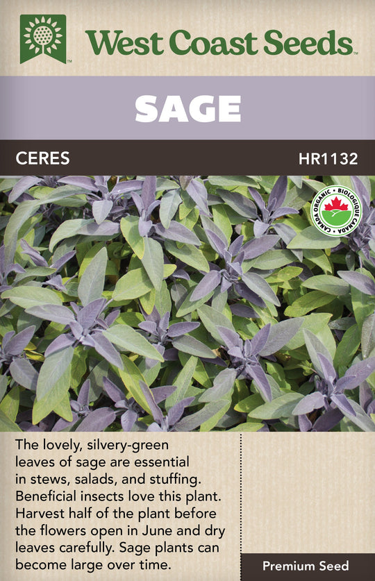 Organic Sage - West Coast Seeds